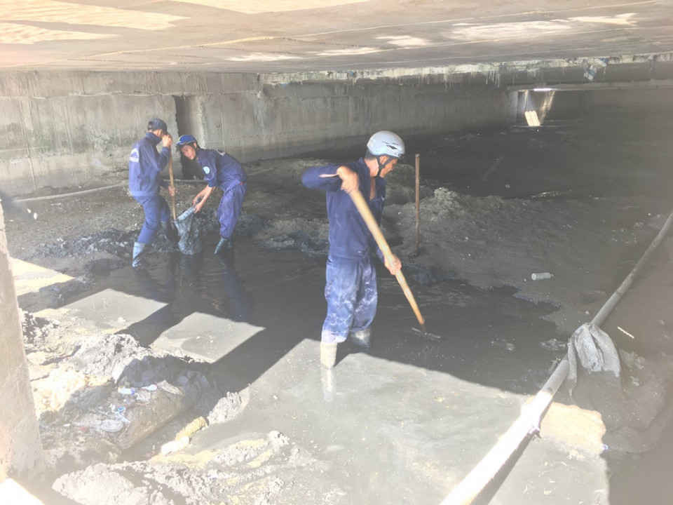 Công nhân vệ sinh môi trường ra khu vực bãi biển Mân Thái để san gạt bờ biển và xử lý mùi hôi thối
