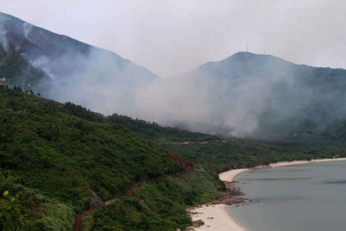 1. Một góc rừng Nam Hải Vân