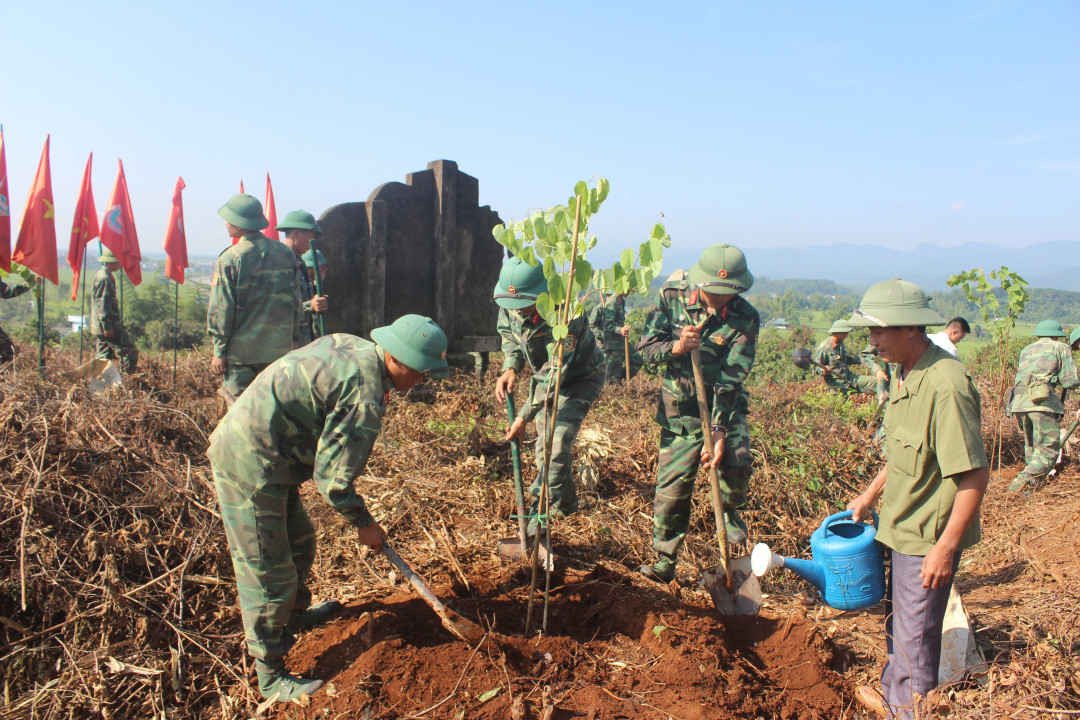 Việc trồng cây hoa Ban tại các đồi di tích lịch sử Điện Biên Phủ được huyện Điện Biên đẩy mạnh thực hiện