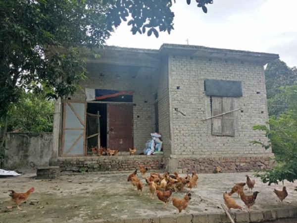 Do ô nhiễm không thể ở nên ngôi nhà đang xây dở bị chủ nhà biến thành nơi nuôi gà