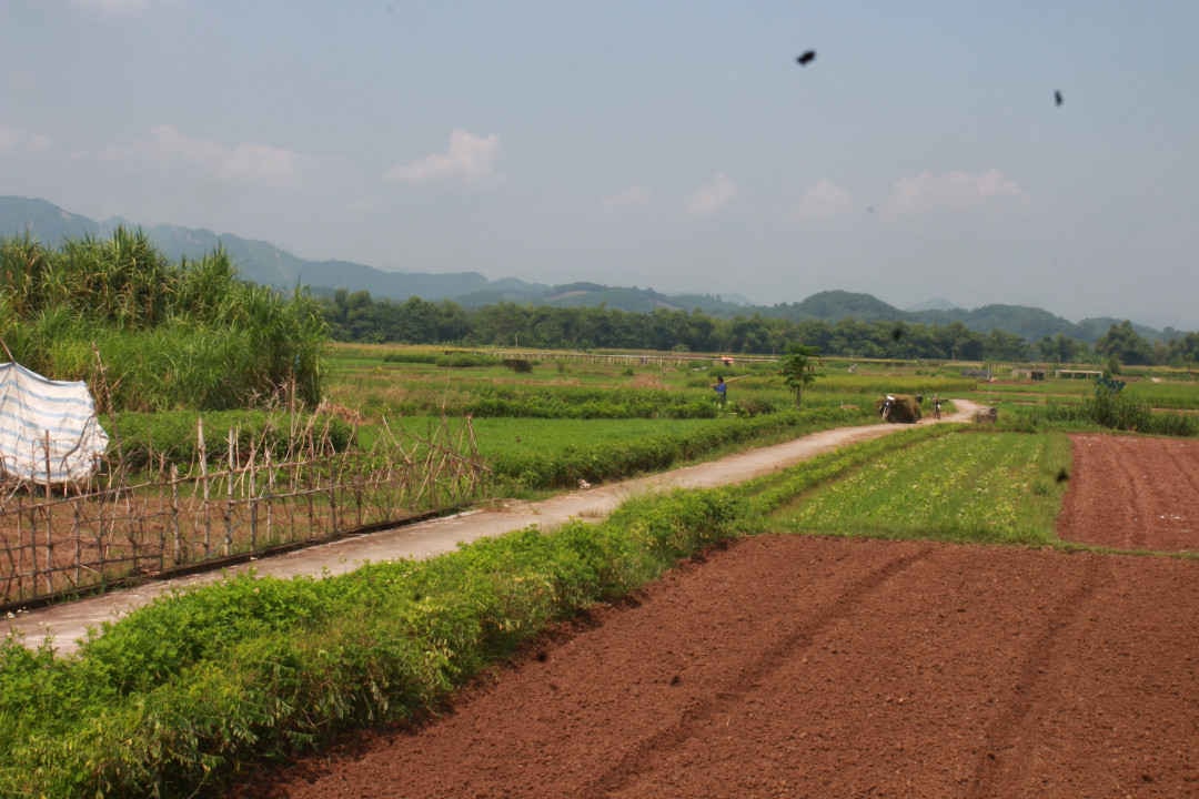 Các huyện, thành phố dọc ven sông Thao trên địa bàn tỉnh Yên Bái cần cân nhắc khi sử dụng nước sông Thao (sông Hồng) vào mục đích sinh hoạt, sản xuất, tưới tiêu