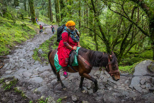 Một người hành hương Hindu ngồi trên lưng ngựa đi qua Vườn quốc gia Langtang một ngày trước ngày rằm tháng 8. Ảnh: Nabin Baral