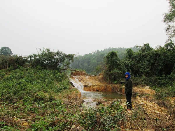Đất rừng chiếm phần lớn diện tích ở Hương Khê