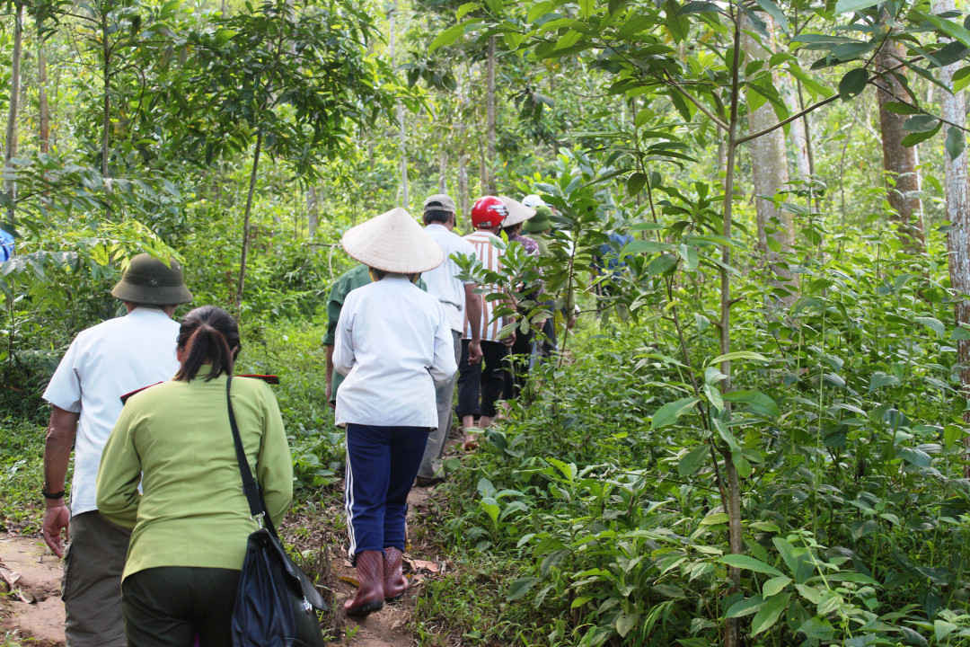 Người dân huyện Điện Biên, tích cực tham gia bảo vệ rừng