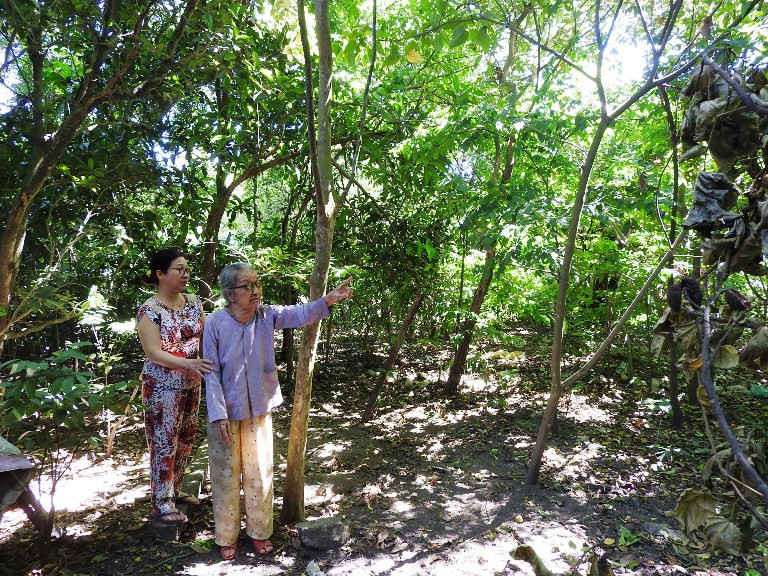 Bà Bùi Thị Nuôi cho hay, đất của gia đình bà sử dụng từ trước giải phóng tới nay vẫn nguyên một thửa, nó chẳng thể to ra hay nhỏ lại