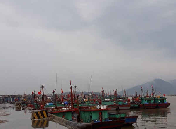 Hàng loạt tàu cá công suất lớn neo đậu lấn chiếm cầu Cảng Cửa Lò