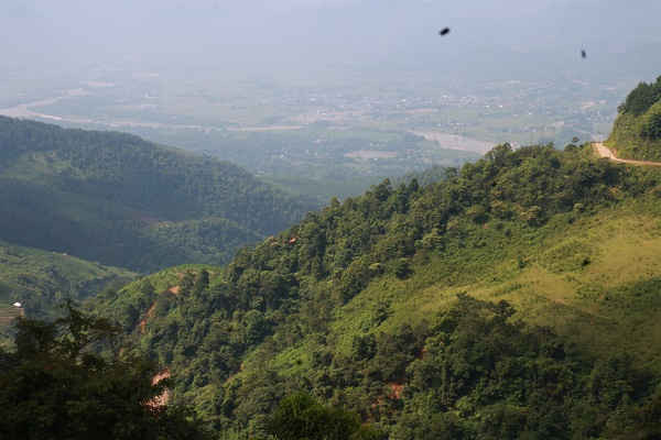 Huyện Trạm Tấu (Yên Bái) trồng được 286 ha rừng trên kế hoạch 320 ha được giao trong năm 2018