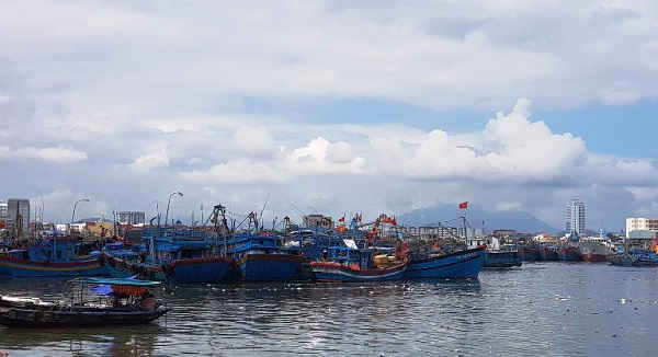 Mỗi lần có mưa bão, số lượng tàu thuyền về neo đậu gấp 3 lần, gây quá tải cho Âu thuyền Thọ Quang