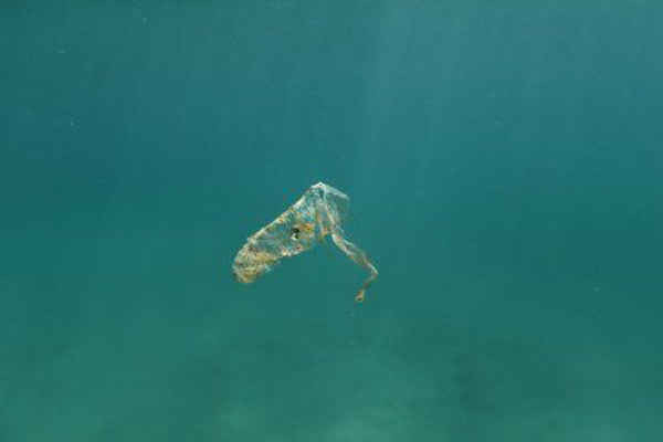 Nhựa trôi nổi trên biển Adriatic ở Vườn quốc gia Kornati, Croatia vào ngày 11/5/2018. Ảnh: Reuters / Antonio Bronic