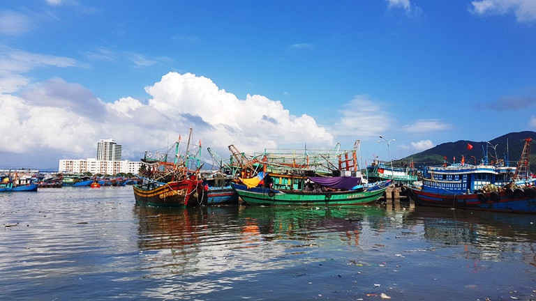Chính quyền các địa phương có tàu thuyền hoạt động tại khu vực Âu thuyền Cảng cá Thọ Quang cần tăng cường tuyên truyền cho ngư dân về đảm bảo vệ sinh môi trường…
