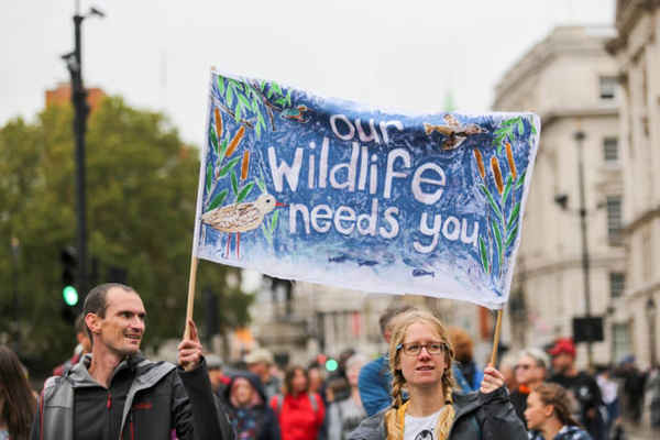Những người biểu tình đi bộ từ công viên Hyde Park đến Whitehall ở London (Anh) để kêu gọi chấm dứt “cuộc chiến về động vật hoang dã”. Ảnh: Penelope Barritt / Alamy