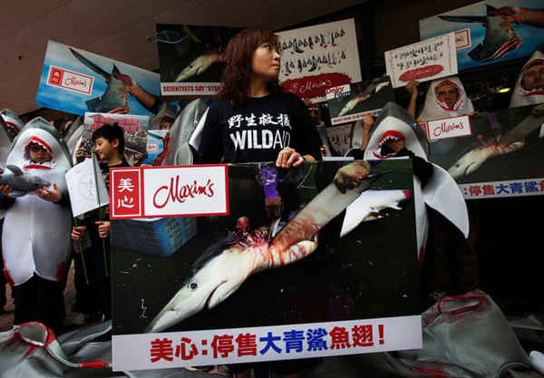 Những người biểu tình thuộc tổ chức Cứu trợ hoang dã (WildAid) chống lại việc sử dụng vây cá mập bên ngoài nhà hàng Maxim tại khuôn viên Đại học Hồng Kông. Ảnh: Alex Hofford / WildAid HK
