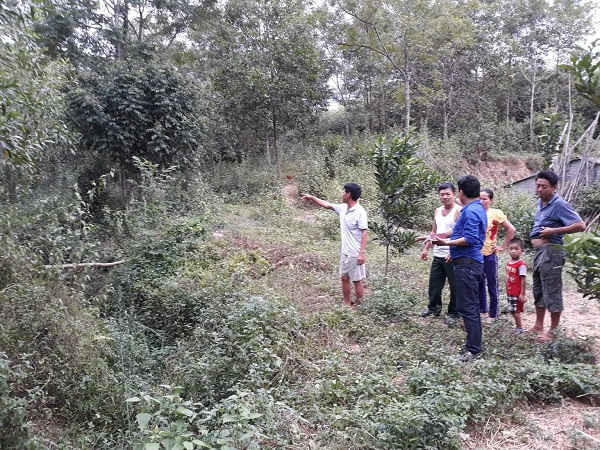 Kiểm tra đất trên thực địa tại huyện Đô Lương