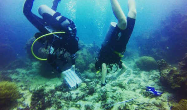 kiểm tra rạn san hô
