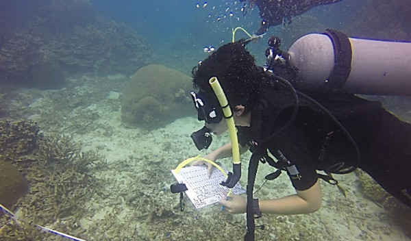 kiểm tra rạn san hô1