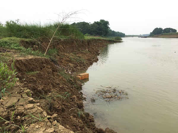 Tình trạng khai thác cát trái phép gây sạt lở bờ sông thuộc xã Vĩnh Khang