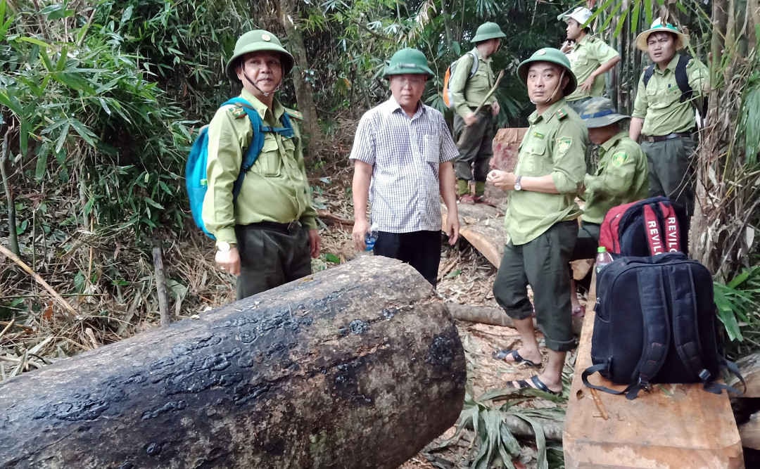 Phó Chủ tịch UBND tỉnh Quảng Nam Lê Trí Thanh cùng các ban, ngành liên quan kiểm tra hiện trường vụ phá rừng ở tỉnh Quảng Nam