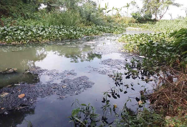 Con kênh đường Khúc Thừa Dụ ô nhiễm nặng, nước đen ngòm