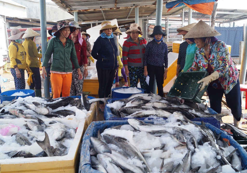 Người nuôi cá buộc phải bán cá với giá rẻ tư thương để khắc phục thiệt hại