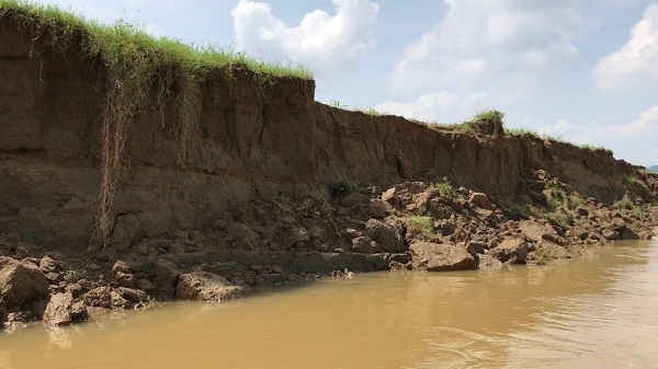 Nhiều điểm sạt lở taạo thành vách đứng 4-5 mét ăn sâu vào diện tích đất canh tác của người dân