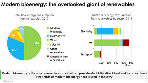 Năng lượng sinh học hiện đại là thứ khổng lồ bị bỏ qua trong lĩnh vực năng lượng tái tạo