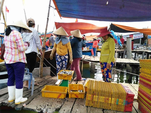Huyện Núi Thành là địa phương có số lượng tàu cá nhiều nhất của tỉnh Quảng Nam, giải quyết việc làm thường xuyên cho 18.000 lao động