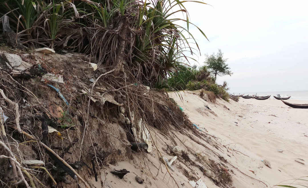 Bờ biển Phú Thuận đang sạt lở ngày càng nặng