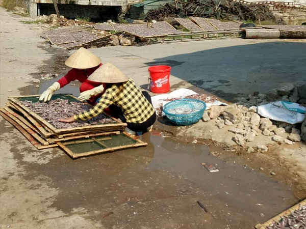 Thói quen thu mua hải sản và để nước thải ra đường cũng ảnh hưởng tiêu cực đến môi trường cảng cá Quỳnh Lập