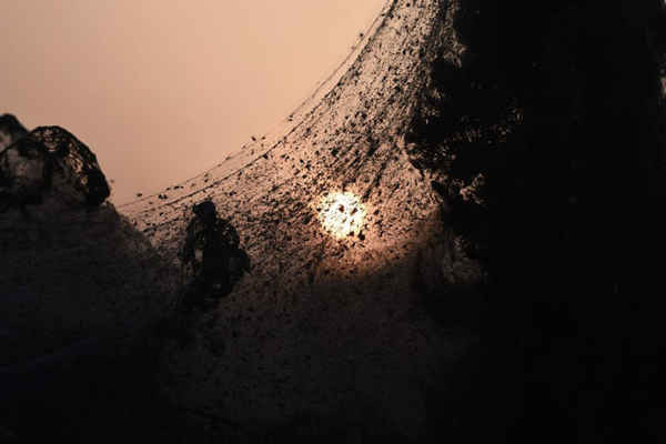 Nhện trong một mạng nhện dài dài 1.000m bao phủ con đường bên cạnh hồ Vistonida ở Xanthi, phía Bắc Hy Lạp. Ảnh: SakisMitrolidis / AFP / Getty Images