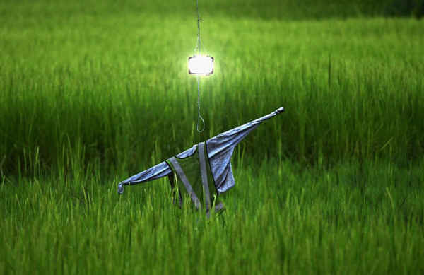 Con bù nhìn cùng với đèn pha ở quận Nagaon thuộc bang Assam, Ấn Độ. Ảnh: STR / EPA