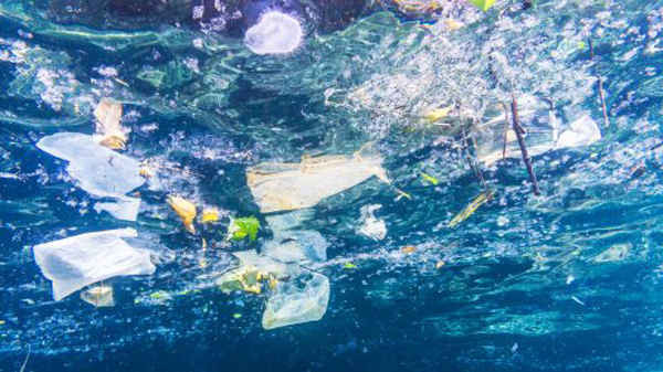 Túi, chai và ly nhựa nổi trên mặt biển