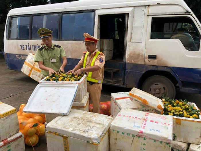 Tang vật vụ vận chuyển hoa quả trái phép bị bắt giữ