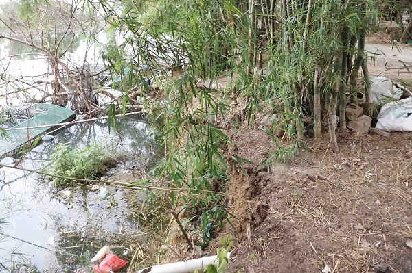 Sông Bồ đoạn qua xã Quảng Thọ- huyện Quảng Điền bị sạt lở nặng