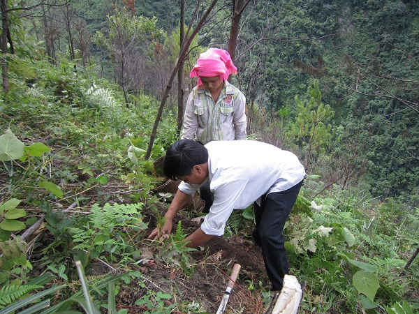 Huyện Mù Cang Chải có địa hình hiểm trở, thời tiết khắc nghiệt nên công tác phòng chống cháy rừng trong mùa khô gặp không ít khó khăn
