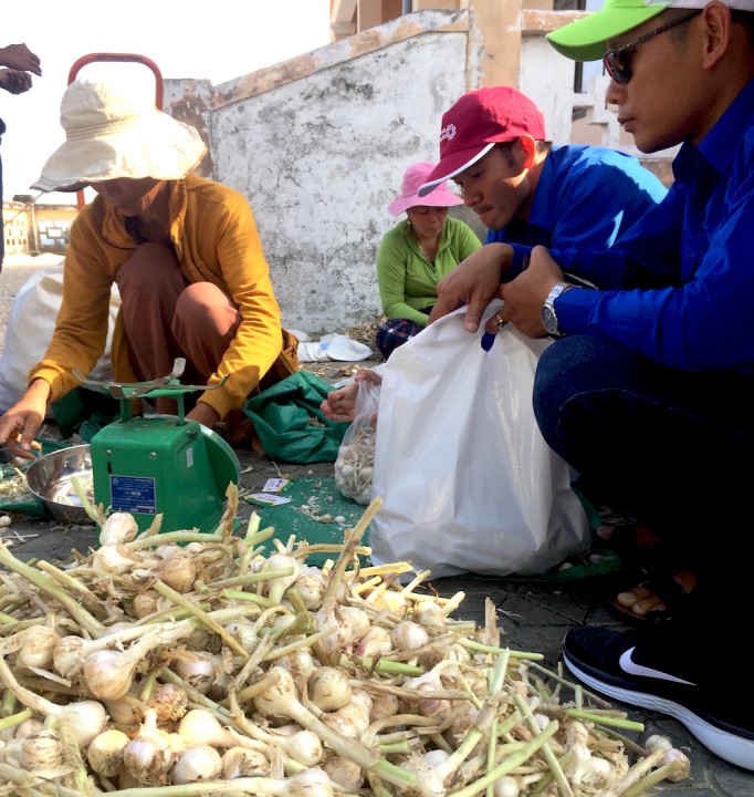 Ban Thường vụ Huyện đoàn Lý Sơn đã có thư kêu gọi đoàn viên, thanh niên và người dân tại địa phương, tiêu thụ tỏi giúp nông dân với giá khoảng 60.000/1kg.
