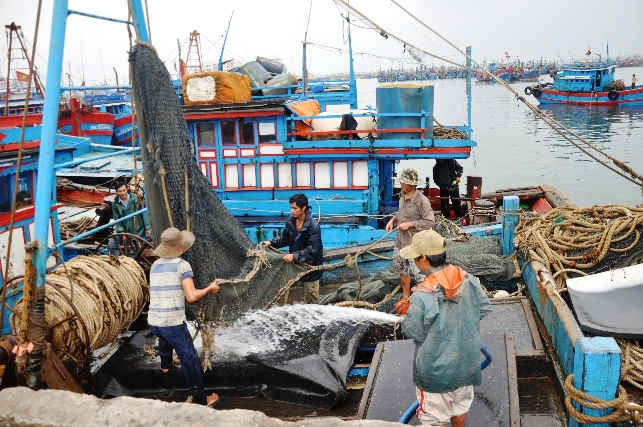 Đà Nẵng: Tăng cường các giải pháp chống khai thác hải sản bất hợp pháp