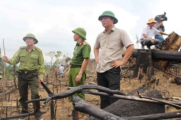 Khu vực nơi xảy ra phá rừng phòng hộ xã Tiên Lãnh.