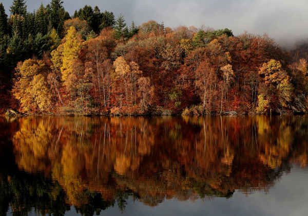 Màu sắc mùa thu được phản chiếu trong hồ Loch Faskally ở Pitlochry, Scotland. Ảnh: Russell Cheyne / Reuters