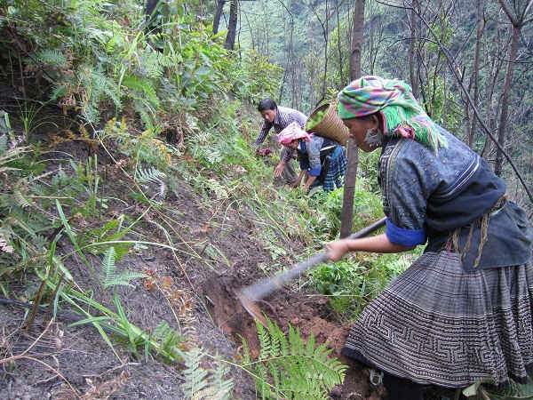 Sau 7 năm triển khai chính sách chi trả DVMTR ở Yên Bái đã giúp người dân thêm gắn bó hơn với rừng