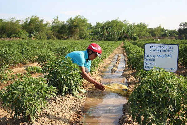Đà Nẵng tăng cường thực hiện các giải pháp thủy lợi phòng, chống hạn hán, thiếu nước, xâm nhập mặn, phục vụ sản xuất nông nghiệp và dân sinh, mùa khô năm 2018-2019