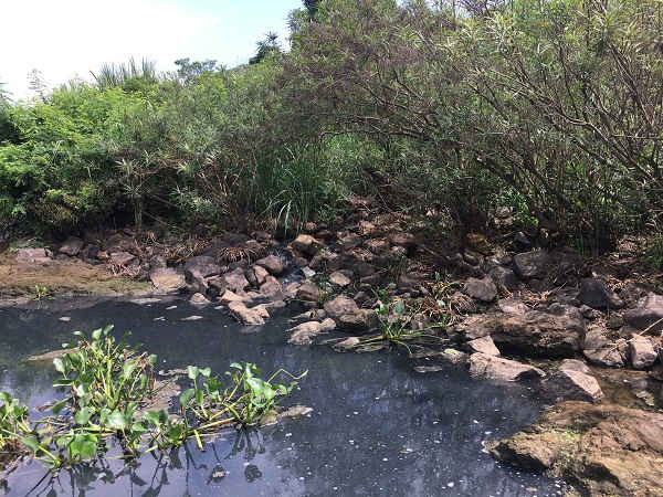 Nhà máy tinh bột sắn Sông Dinh xả thải ra môi trường