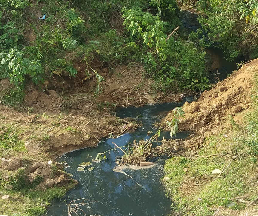 Nước thải từ xưởng chế biến dong riềng tại xã Nà Nhạn, huyện Điện Biên đen ngòm được xả ra suối