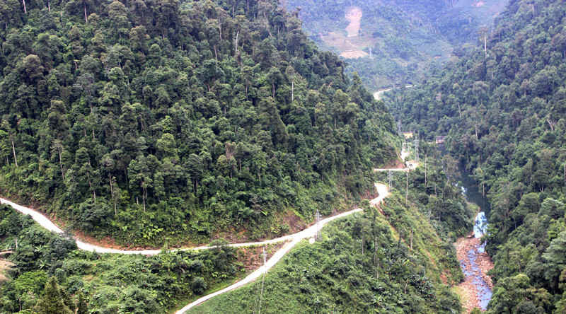 Chi trả dịch vụ môi trường rừng là một cách làm hiệu quả của tỉnh Lào Cai để nhân dân và cơ quan chức năng cùng chung tay giữ rừng.