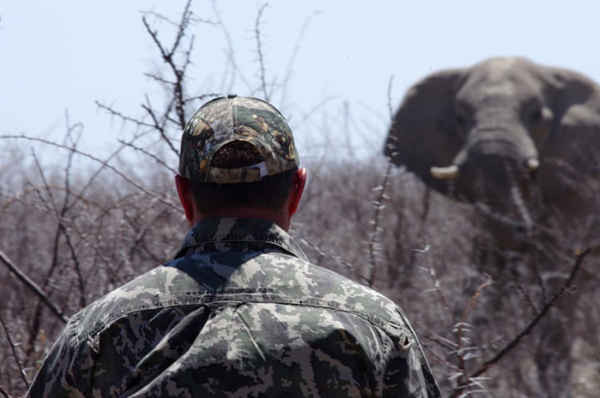 Thợ săn “cúp” theo dõi một con voi. Ảnh: Jens Ulrik Høgh