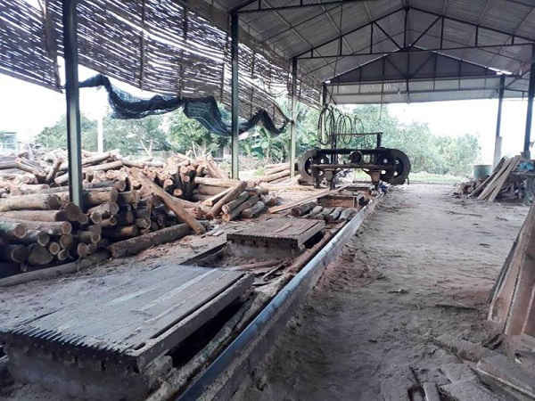 Nhà xưởng chế biến gỗ trái phép