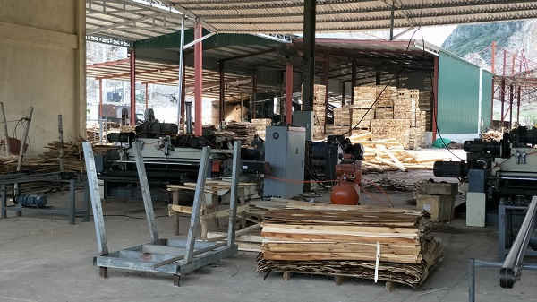 Công ty Mai Anh 88 sản xuất chế biến gỗ không phép, không ĐTM