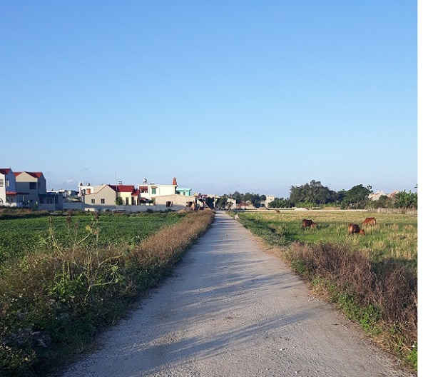 Những năm vừa qua, chính quyền xã Đa Lộc đầu tư nhiều con đường bê tông kiên cố tới các thôn từ nguồn vốn chương trình 257.