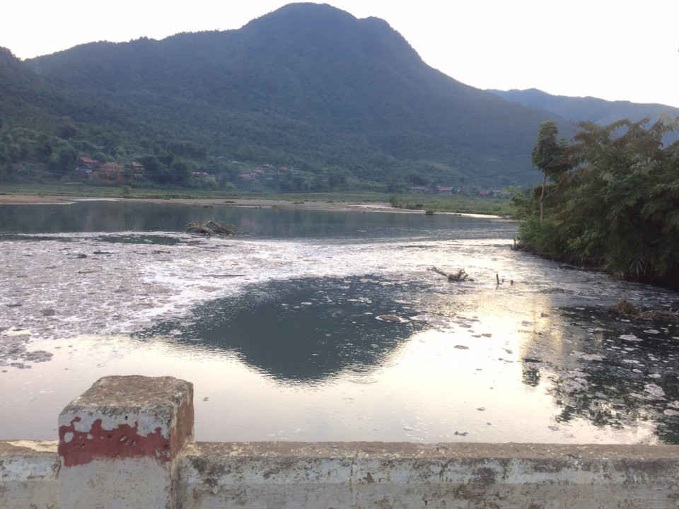 Suối Nậm Nèn bị ô nhiễm nghiêm trọng do hoạt động sơ chế dong riềng