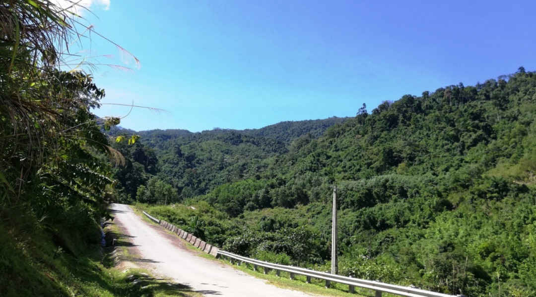 Tỷ lệ che phủ rừng của Quảng Nam năm 2018 đạt 57,38%, vượt kế hoạch đề ra