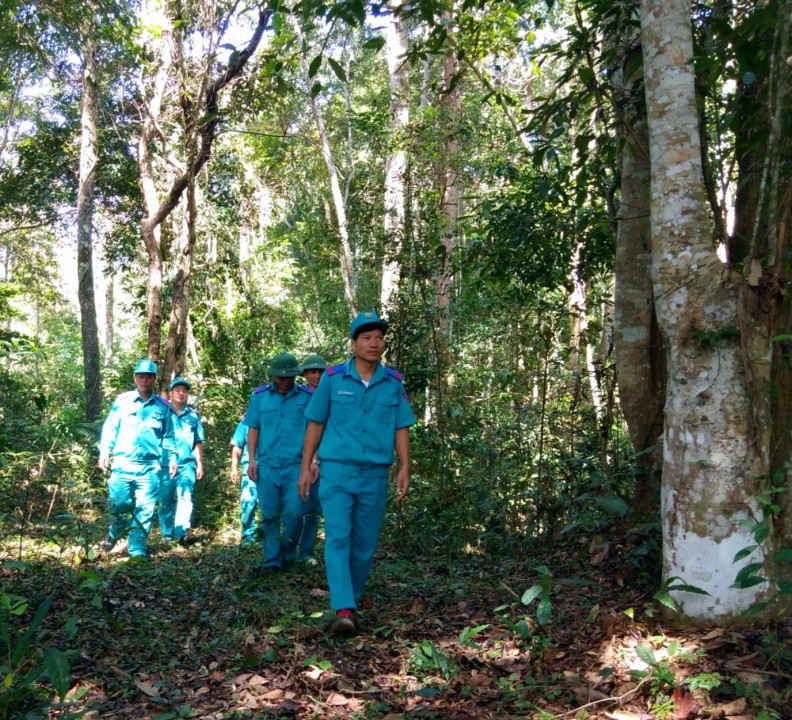Điện Biên chỉ đạo tăng cường công tác bảo vệ phòng cháy, chữa cháy rừng mùa khô 2018 -2019
